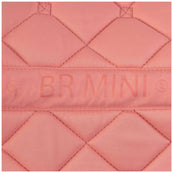 BR Mantilla Mini Horse Peach Blossom