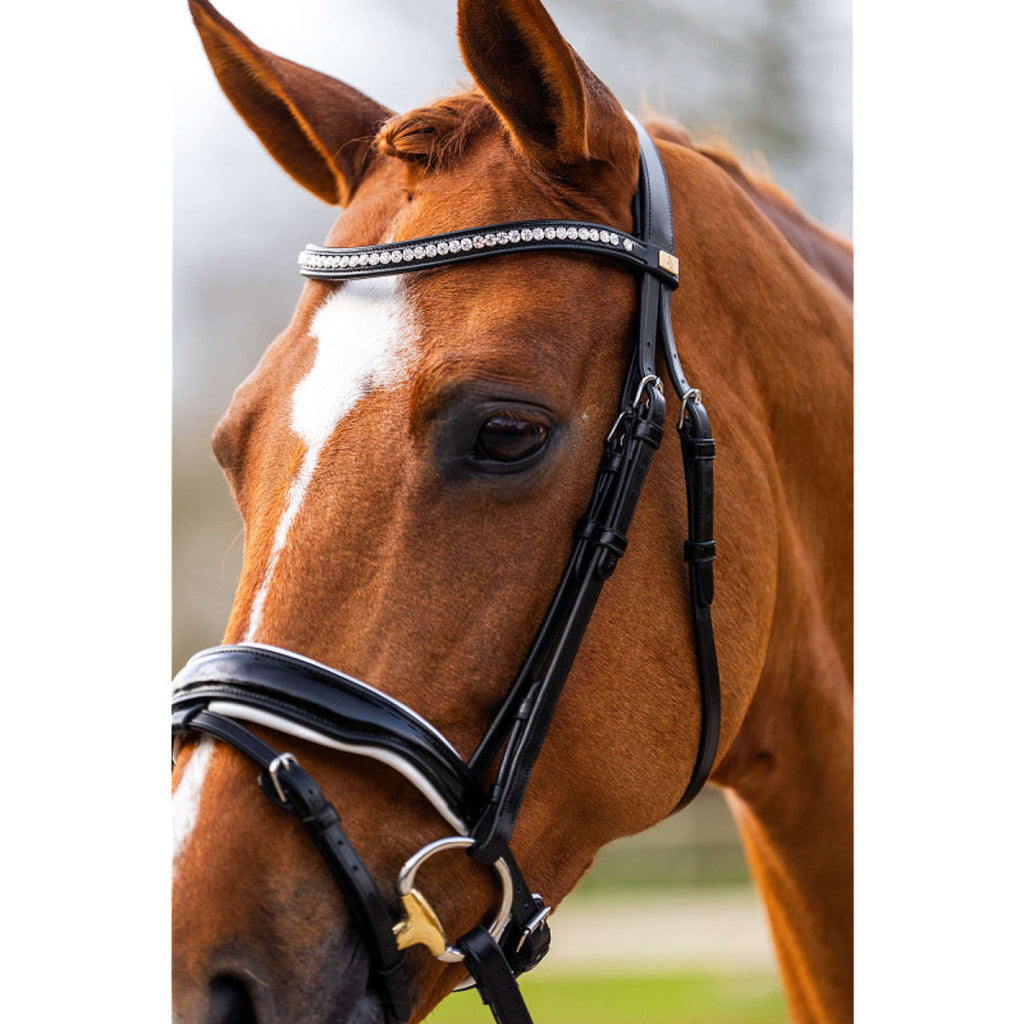 BR Brida Hailsham Negro/Blanco