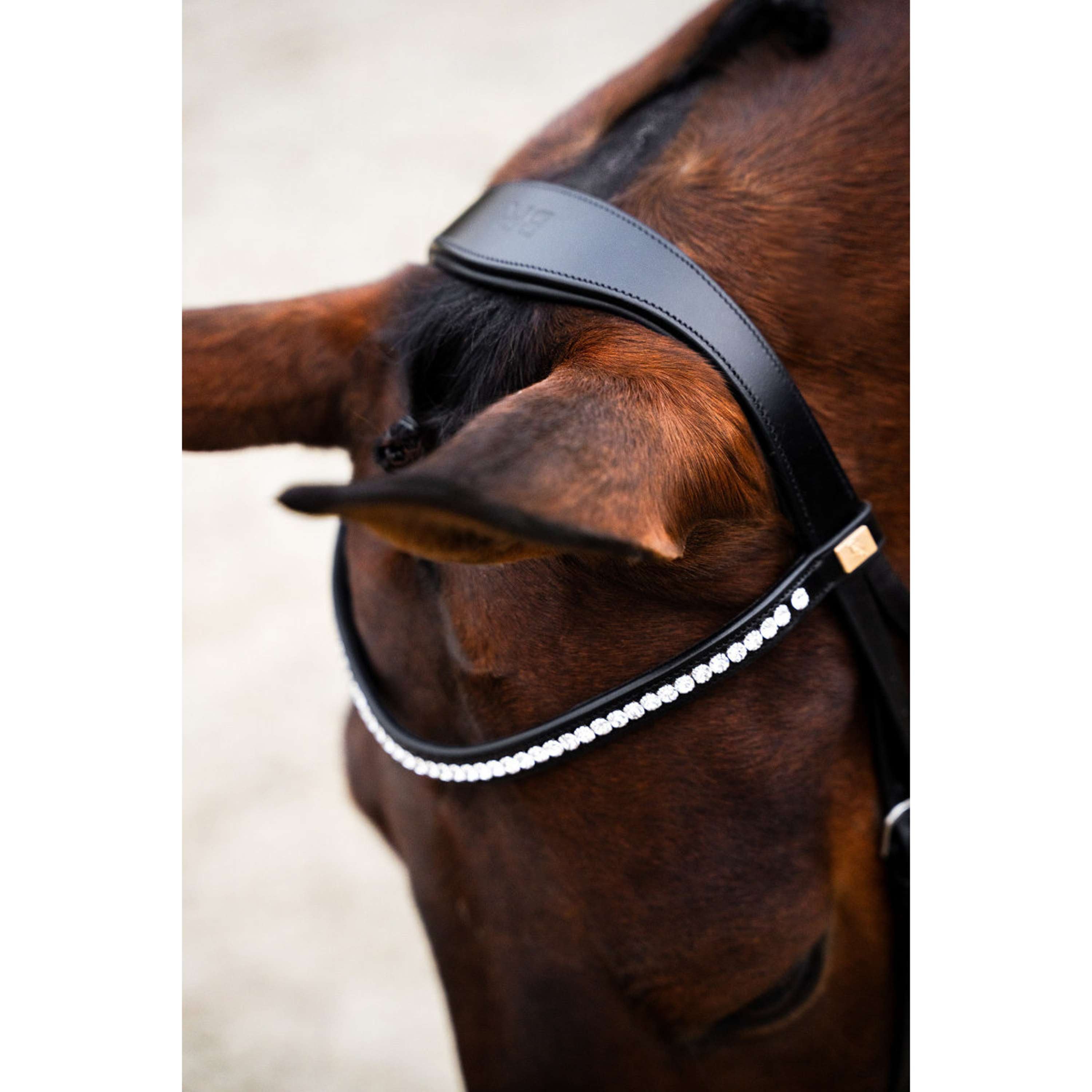BR Brida Southall Negro/Plata