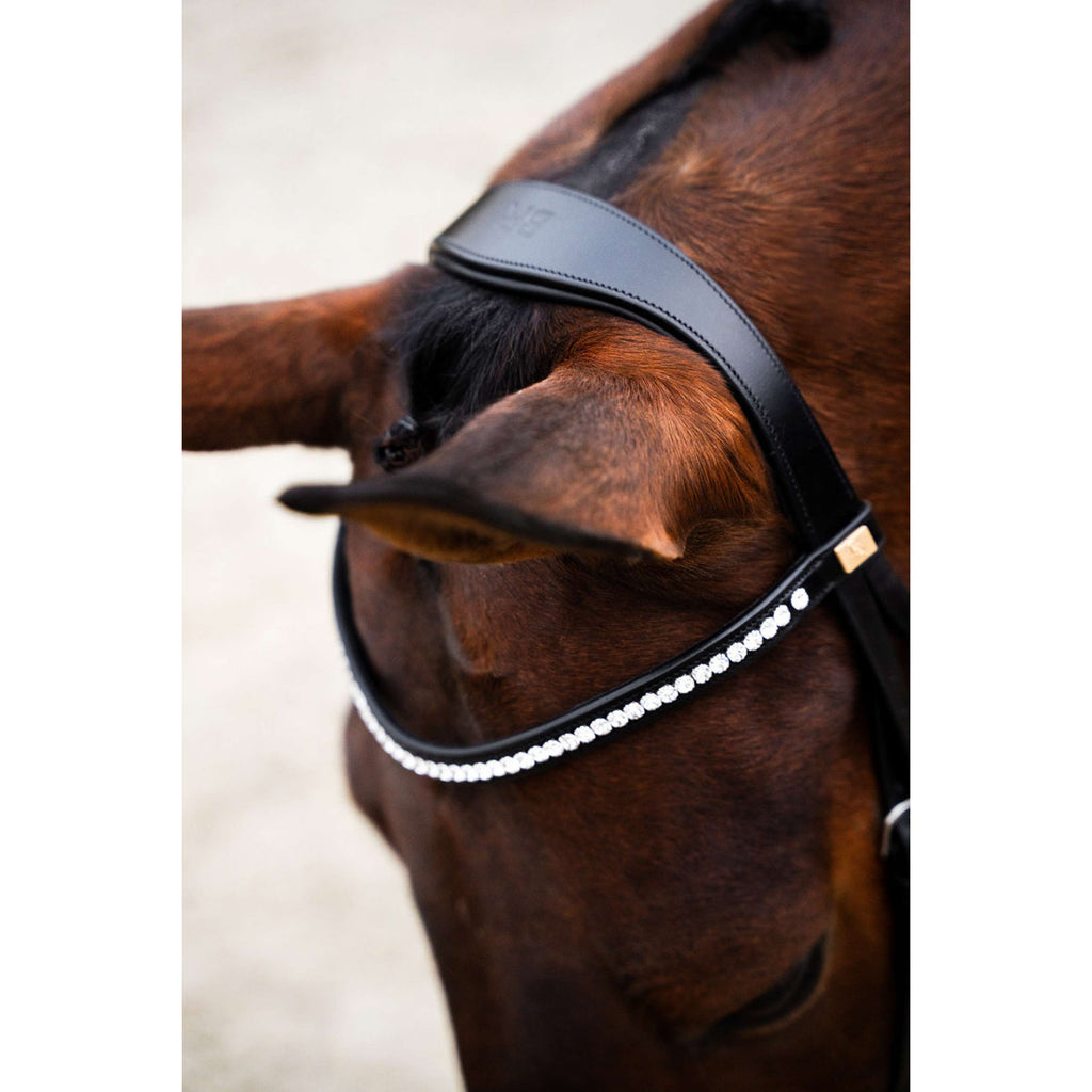 BR Brida Southall Negro/Plata