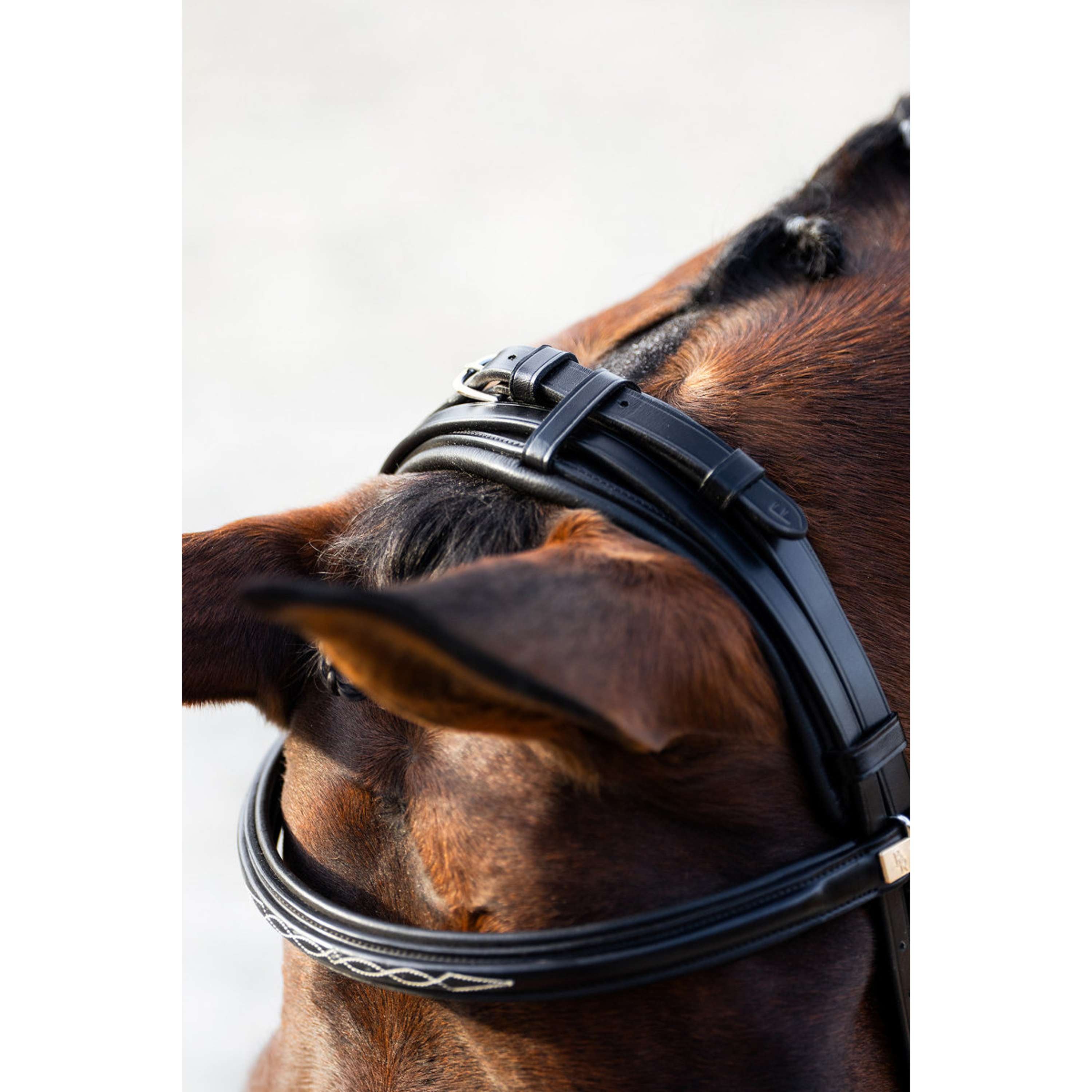 BR Brida Seaford Negro/Plata