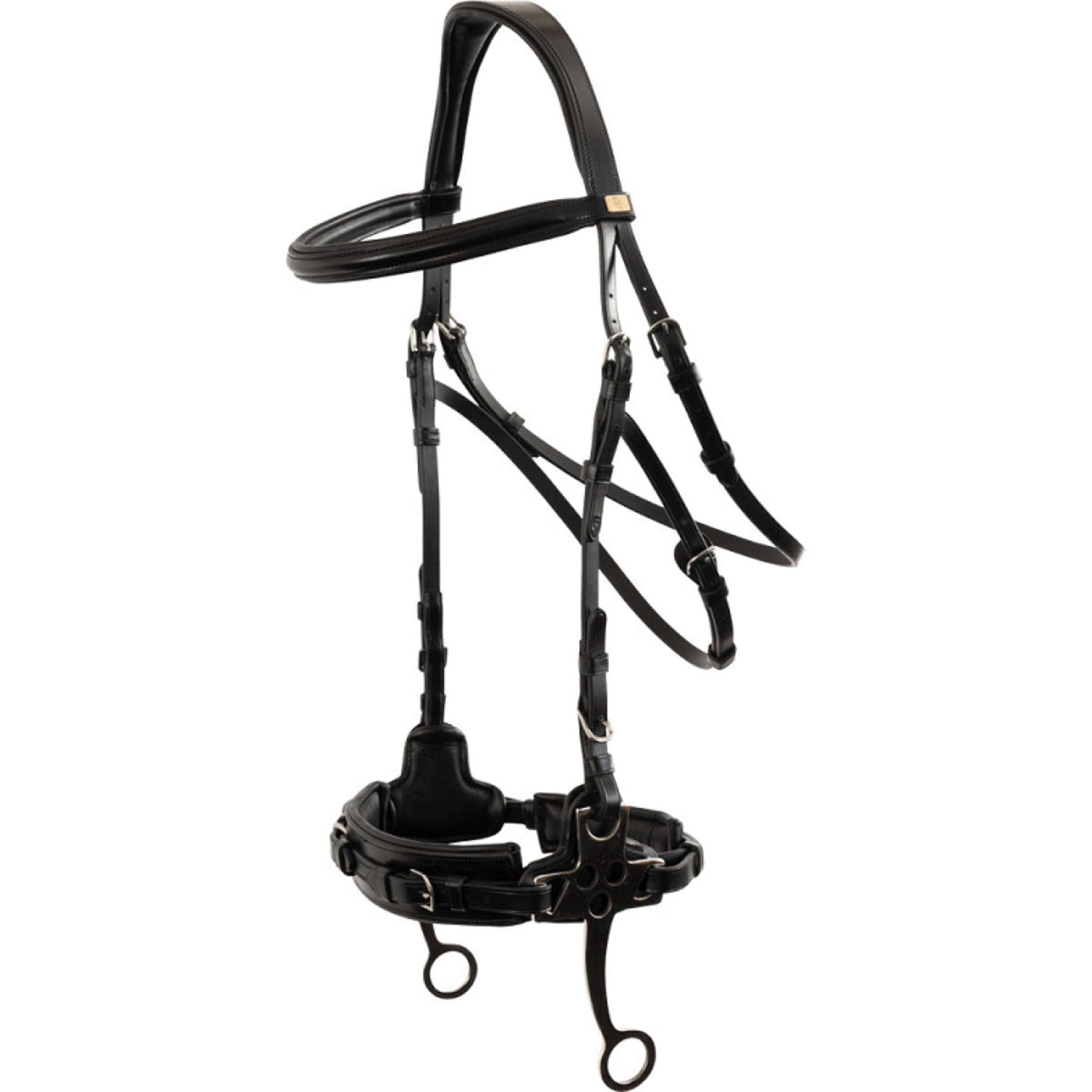 BR Hackamore Thornbury Negro/Plata