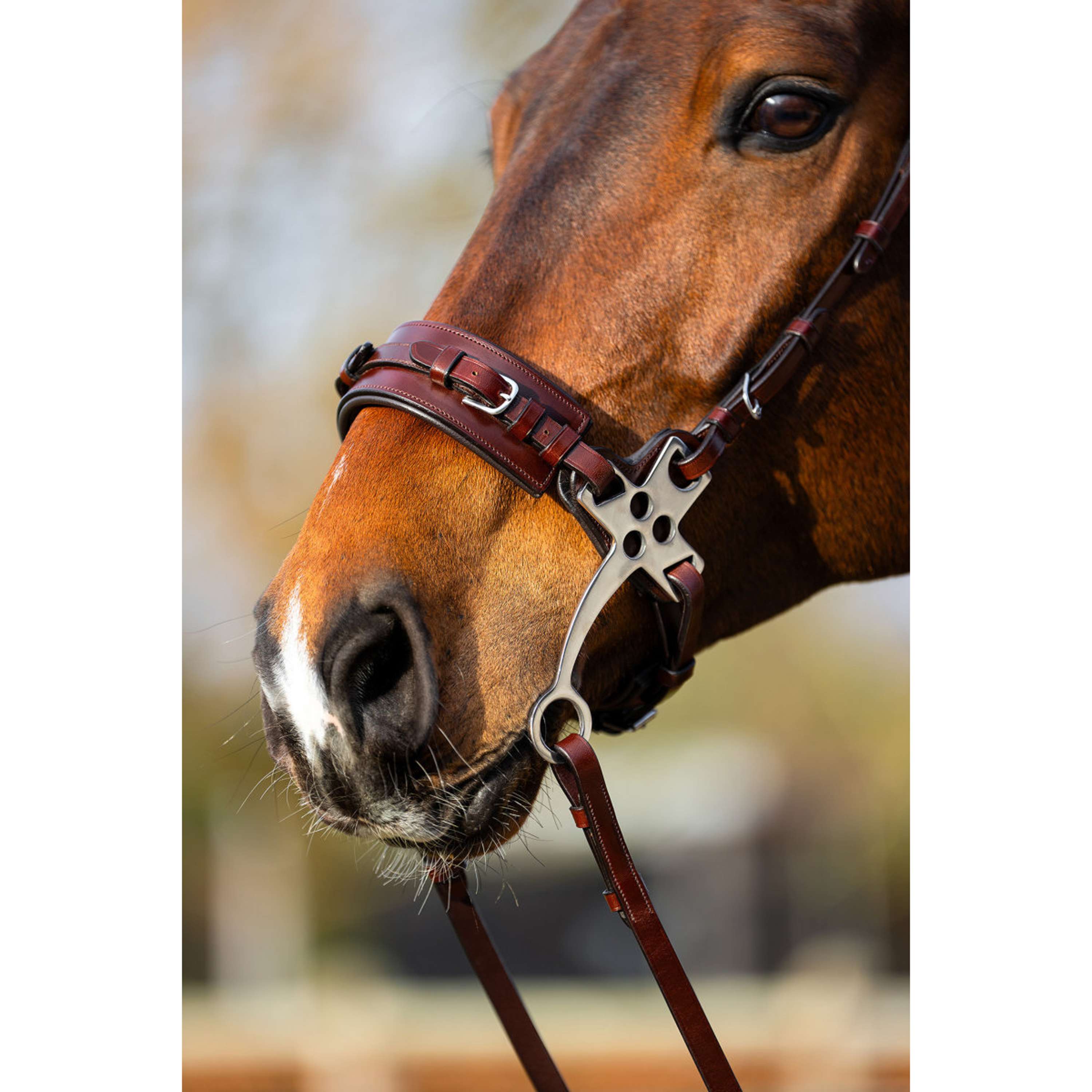 BR Hackamore Thornbury Roble/Plata
