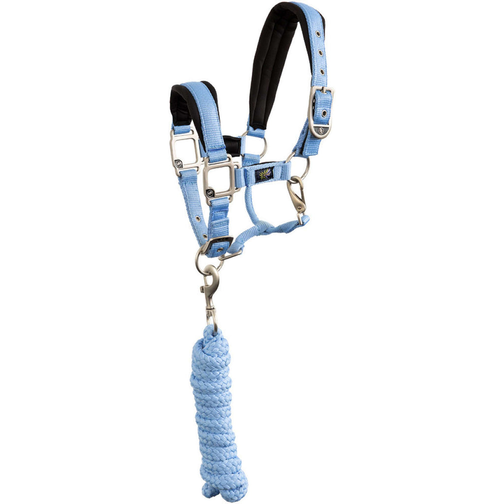 BR Juego de Cabestro Mini Horse Little Blue