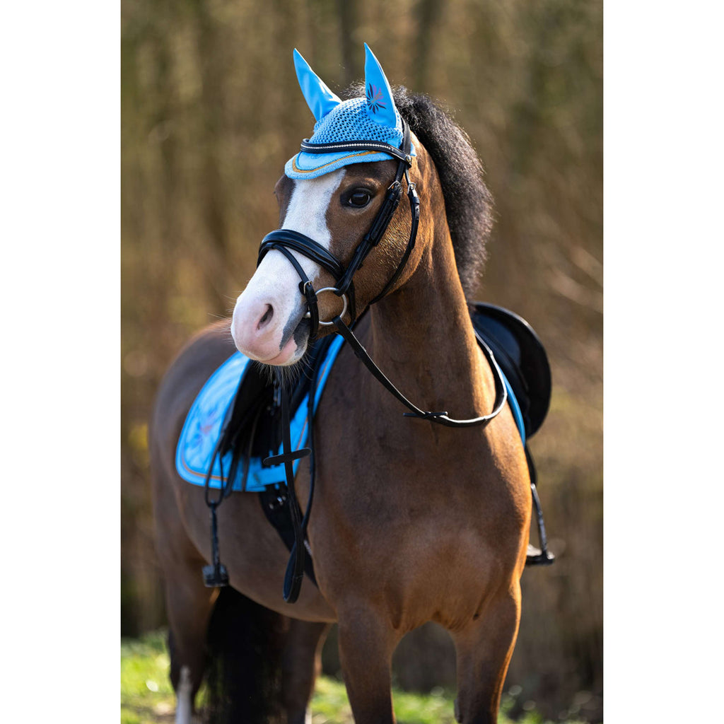 BR Bonete para Orejas Mini Horse Little Blue
