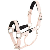 BR Cabezada Eevolv Karin Lotus