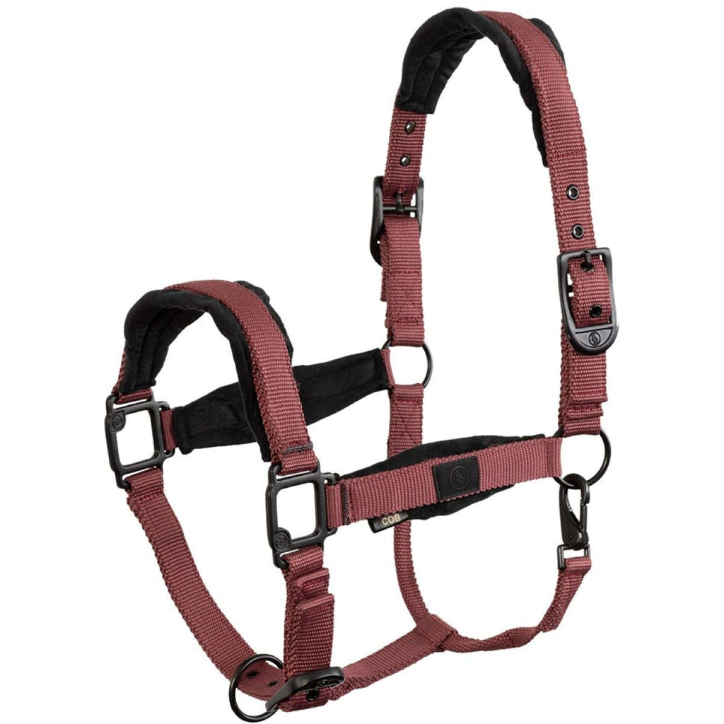 BR Cabestro Loran Maroon