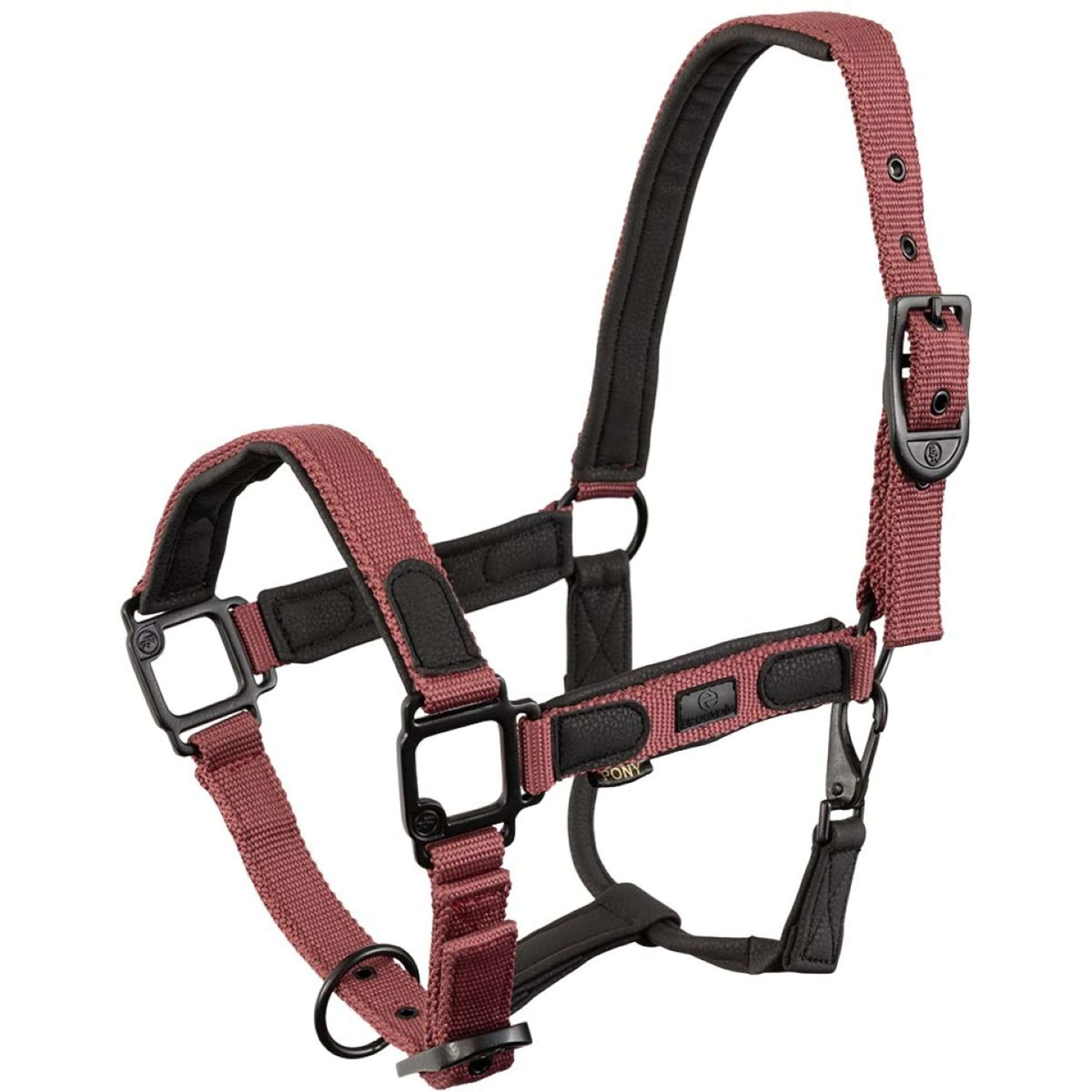 BR Cabestro Eevolv Laudine Maroon
