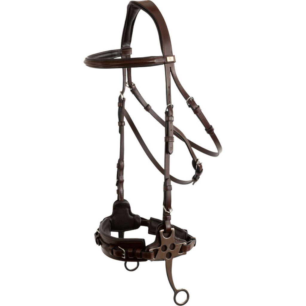 BR Hackamore Thornbury Roble/Plata