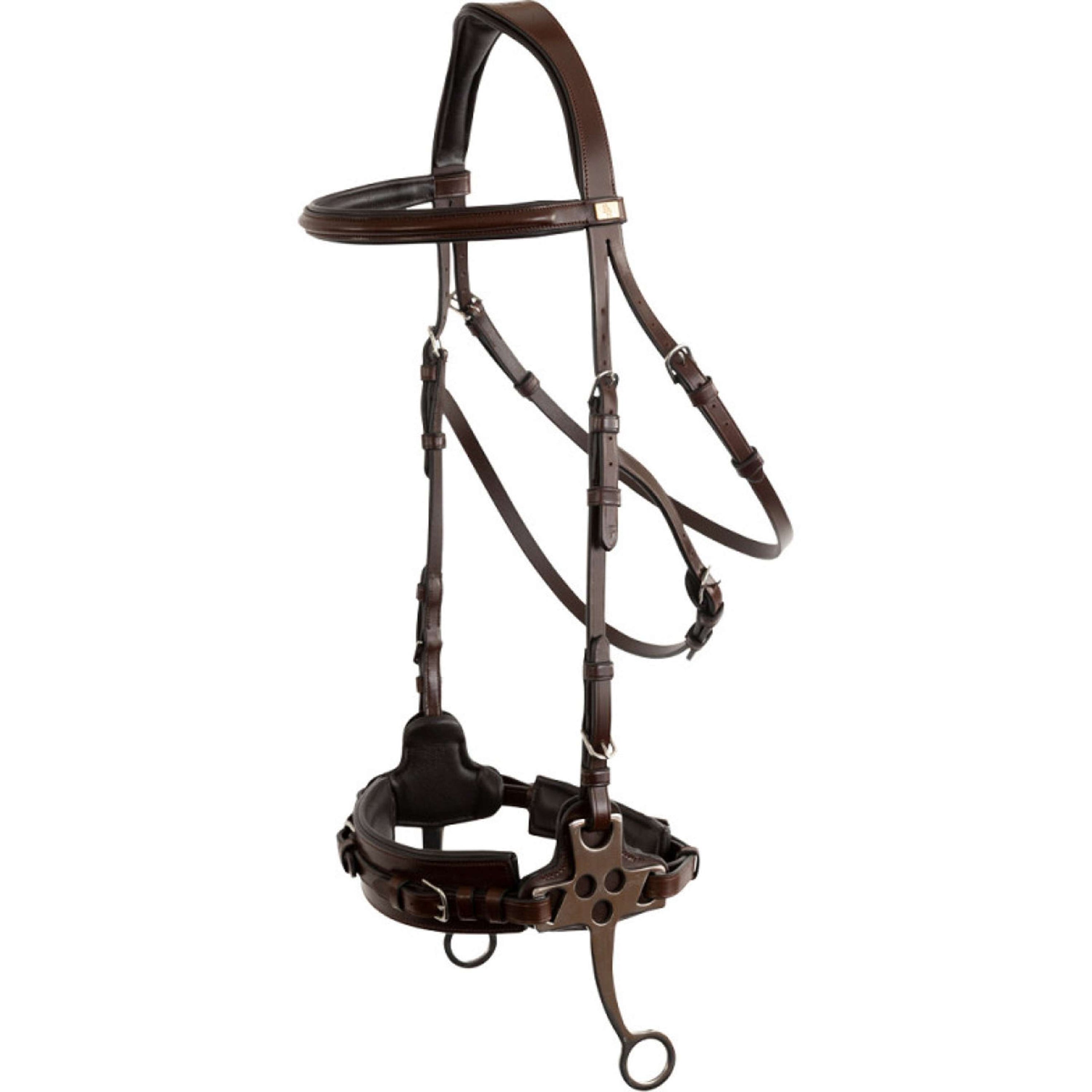 BR Hackamore Thornbury Roble/Plata