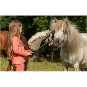 BR Mini Horse Caballo de juguete Beige
