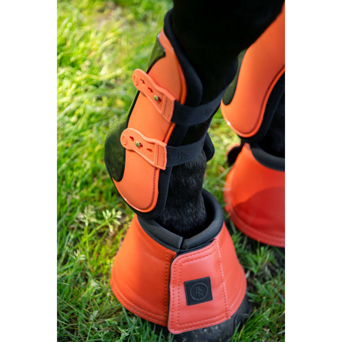 BR Botas para Caballos Karl Mecca Orange