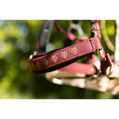 BR Cabezada Eevolv Karin New Maroon