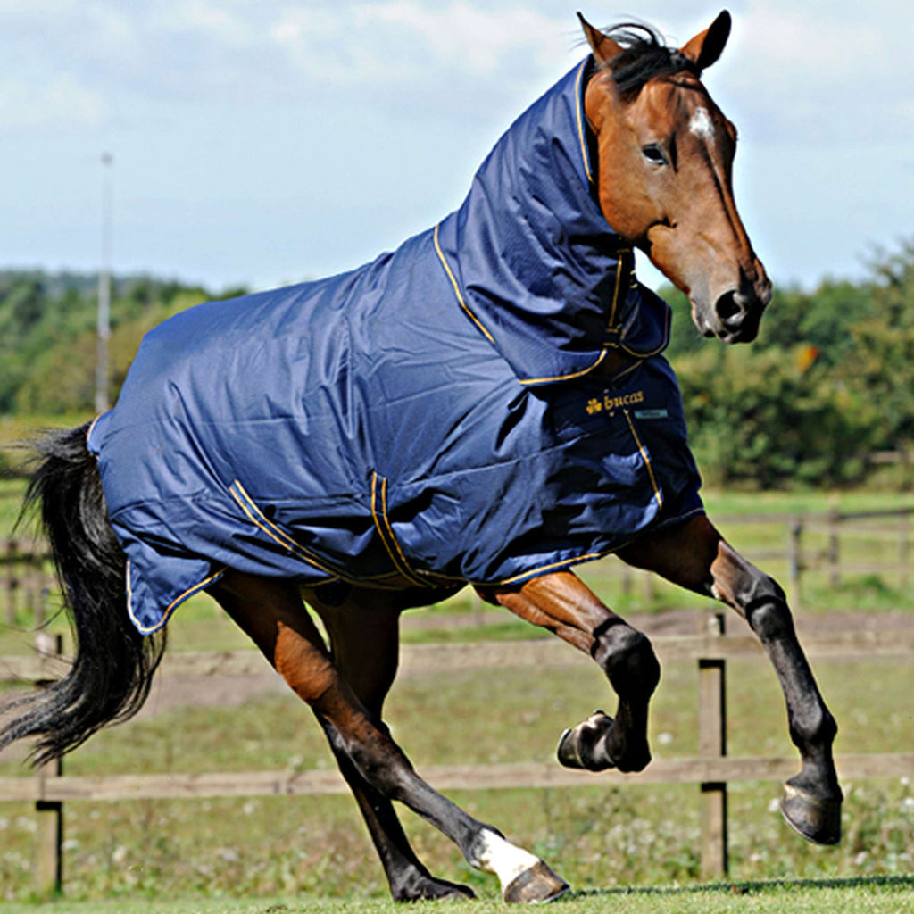 Bucas Irish Turnout Combo Neck 50g Navy/Gold