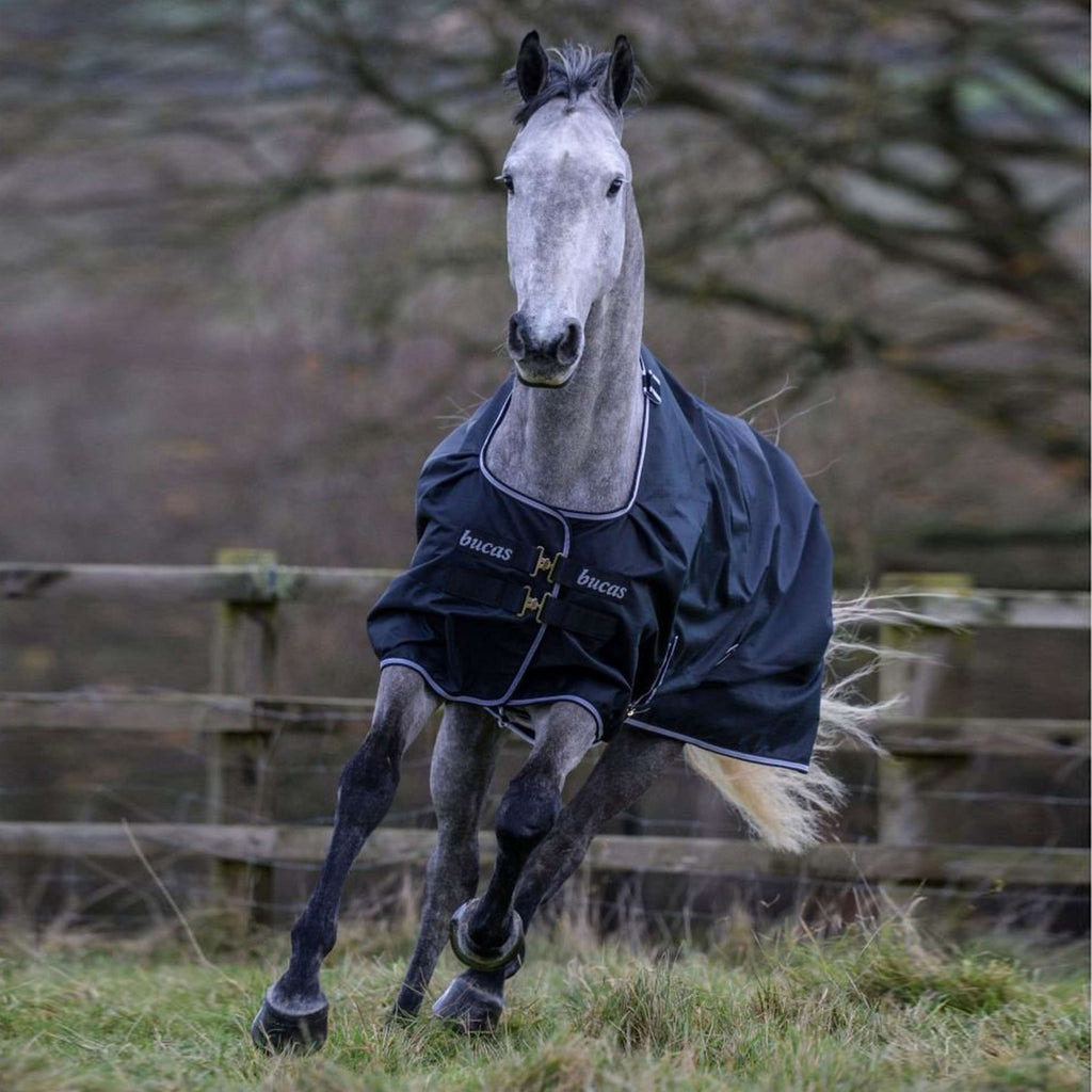 Bucas Trotting Turnout 200g Negro/Blanco