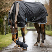 Bucas Anniversary Dog Rug Sapphire