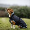 Bucas Anniversary Dog Rug Sapphire