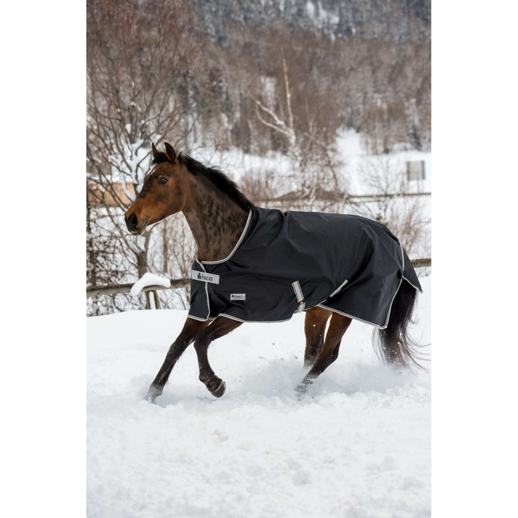 Bucas Anniversary Turnout Light Stay-dry 0g Sapphire