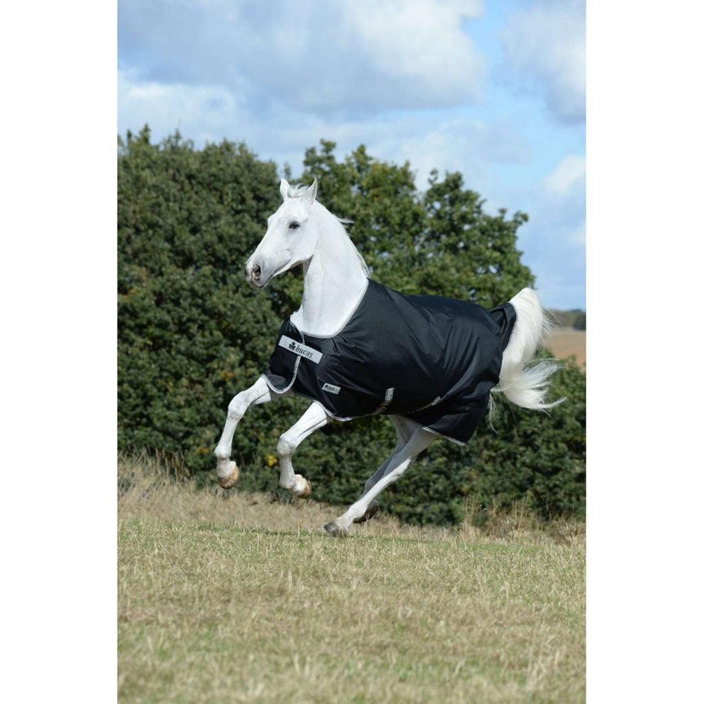 Bucas Anniversary Turnout Light Stay-dry 0g Sapphire