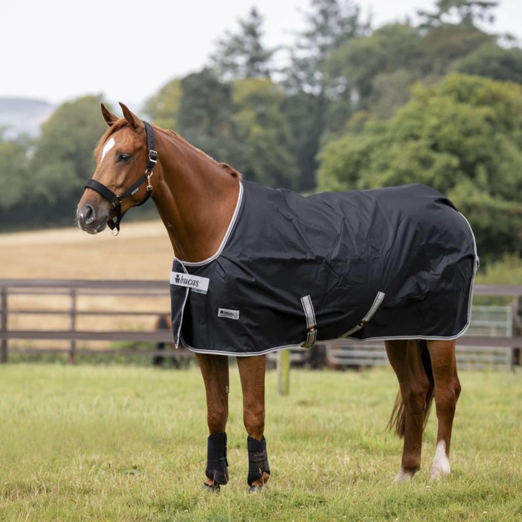 Bucas Anniversary Turnout Light Stay-dry 0g Sapphire
