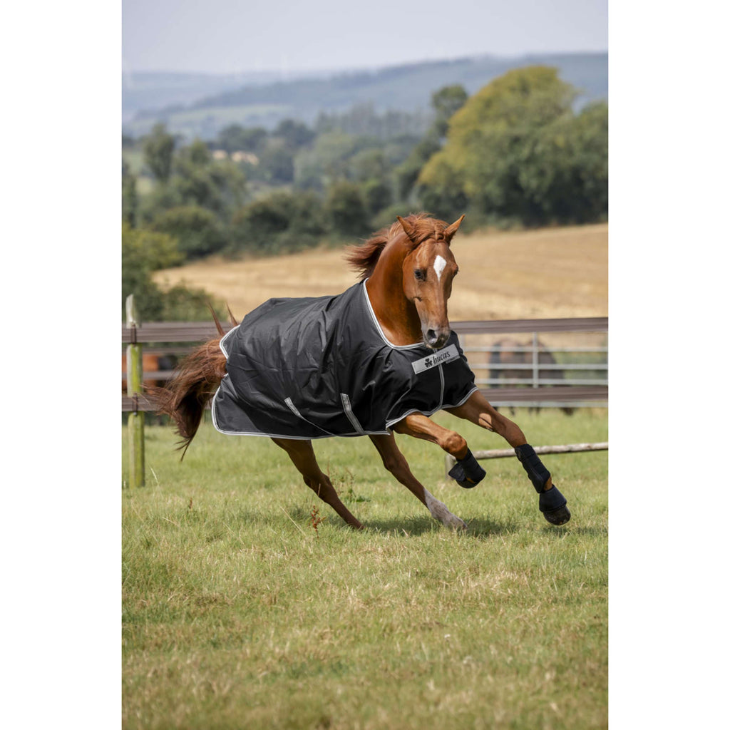Bucas Anniversary Turnout Light Stay-dry 0g Sapphire