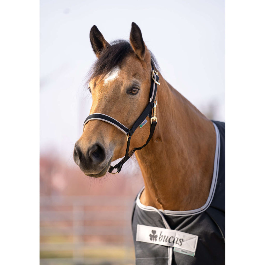 Bucas Anniversary Turnout Light Stay-dry 0g Sapphire