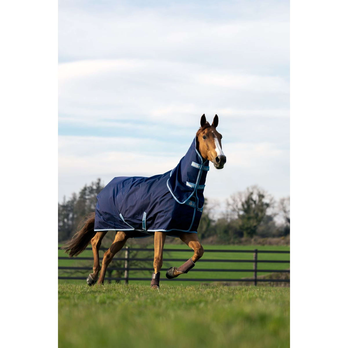 Bucas Atlantic Exclusive 150g con cuello Azul