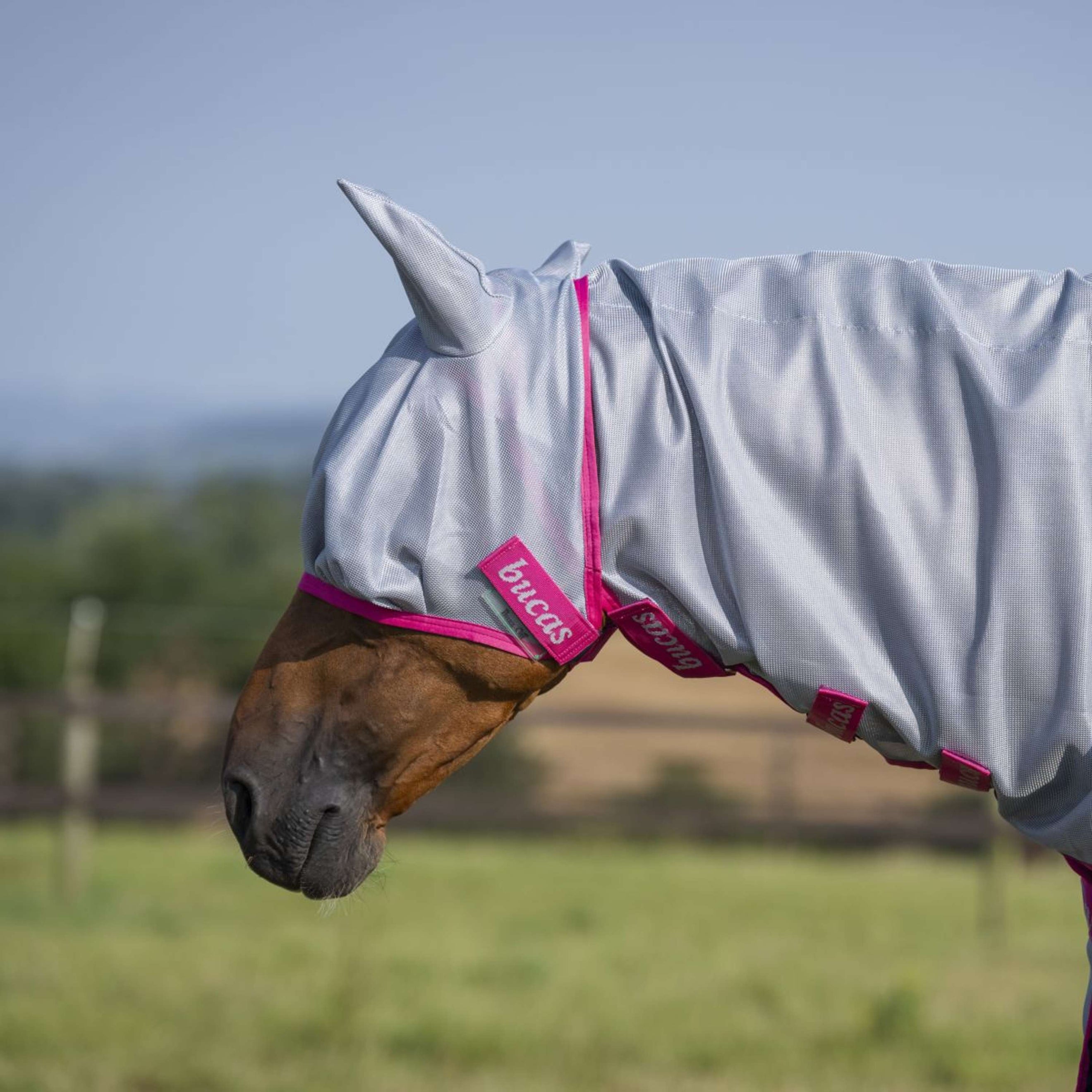 Bucas Buzz-Off Fly Mask Blue/Blossom Bucas Buzz-Off Fly Mask Blue/Blossom