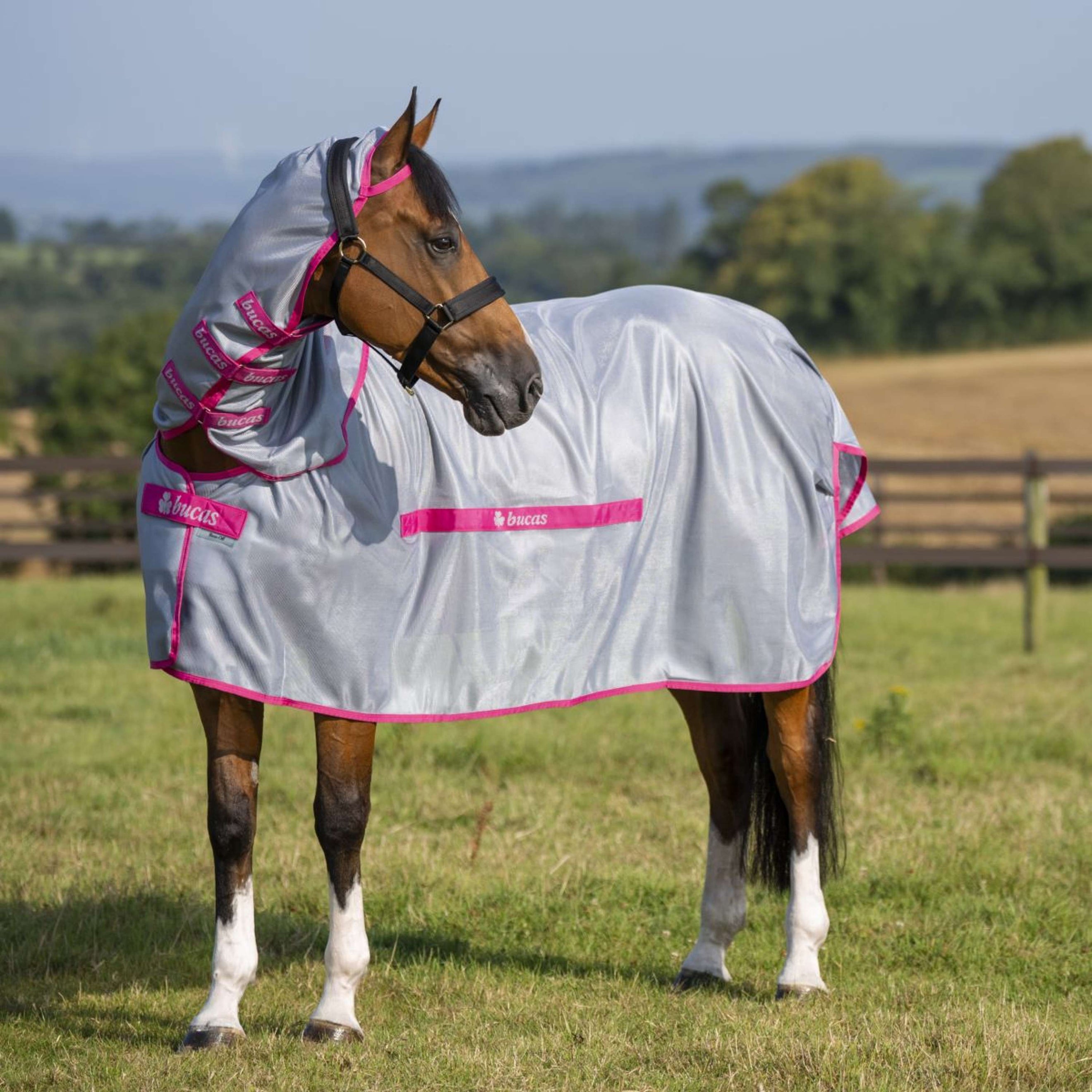 Bucas Buzz-Off & Neck Blue/Blossom Bucas Buzz-Off & Neck Blue/Blossom