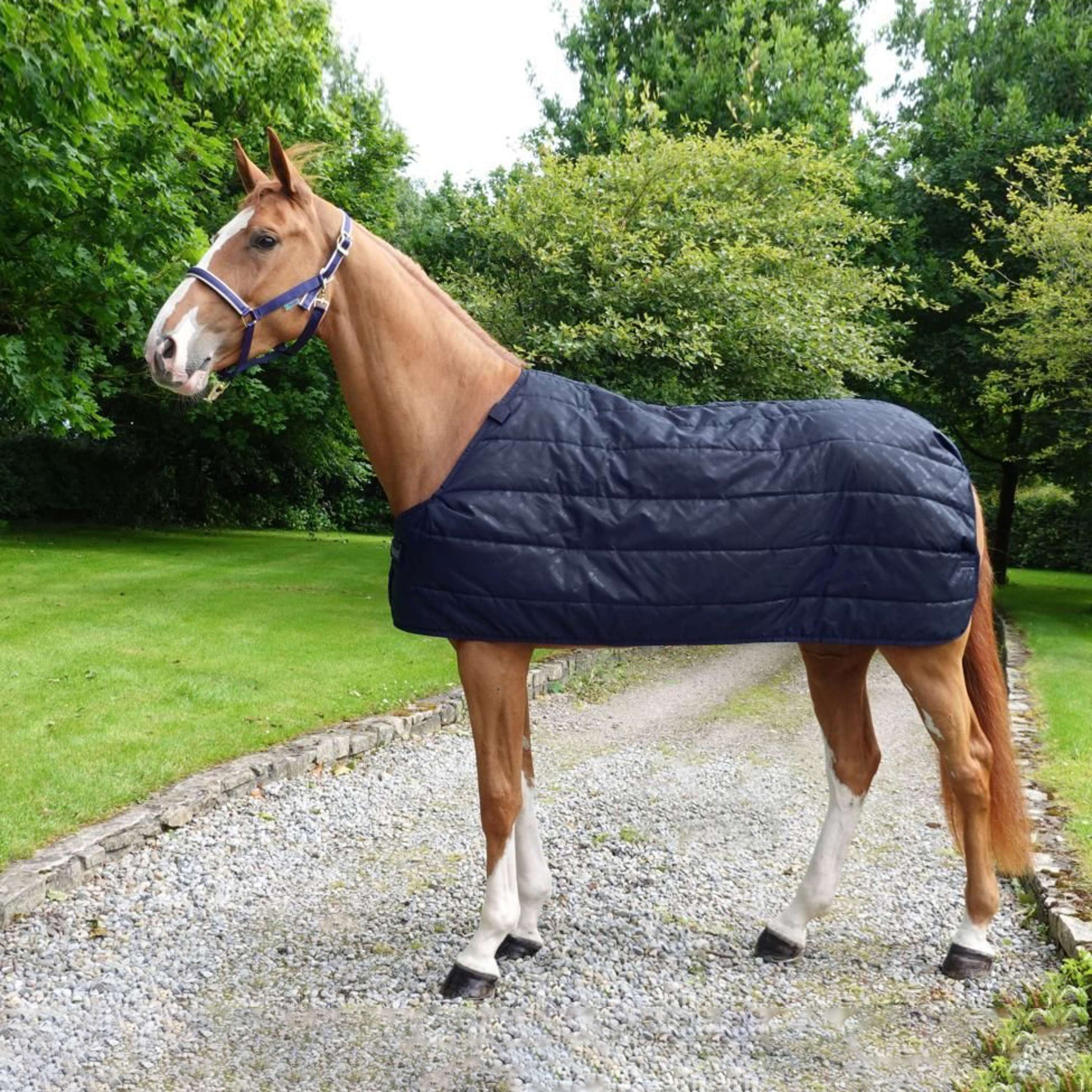 Bucas Liner SF 200g Navy Bucas Liner SF 200g Navy