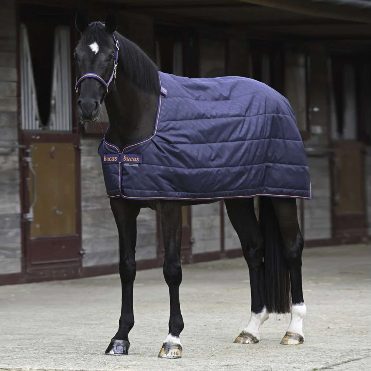 Bucas Therapy Liner Marino Naranja