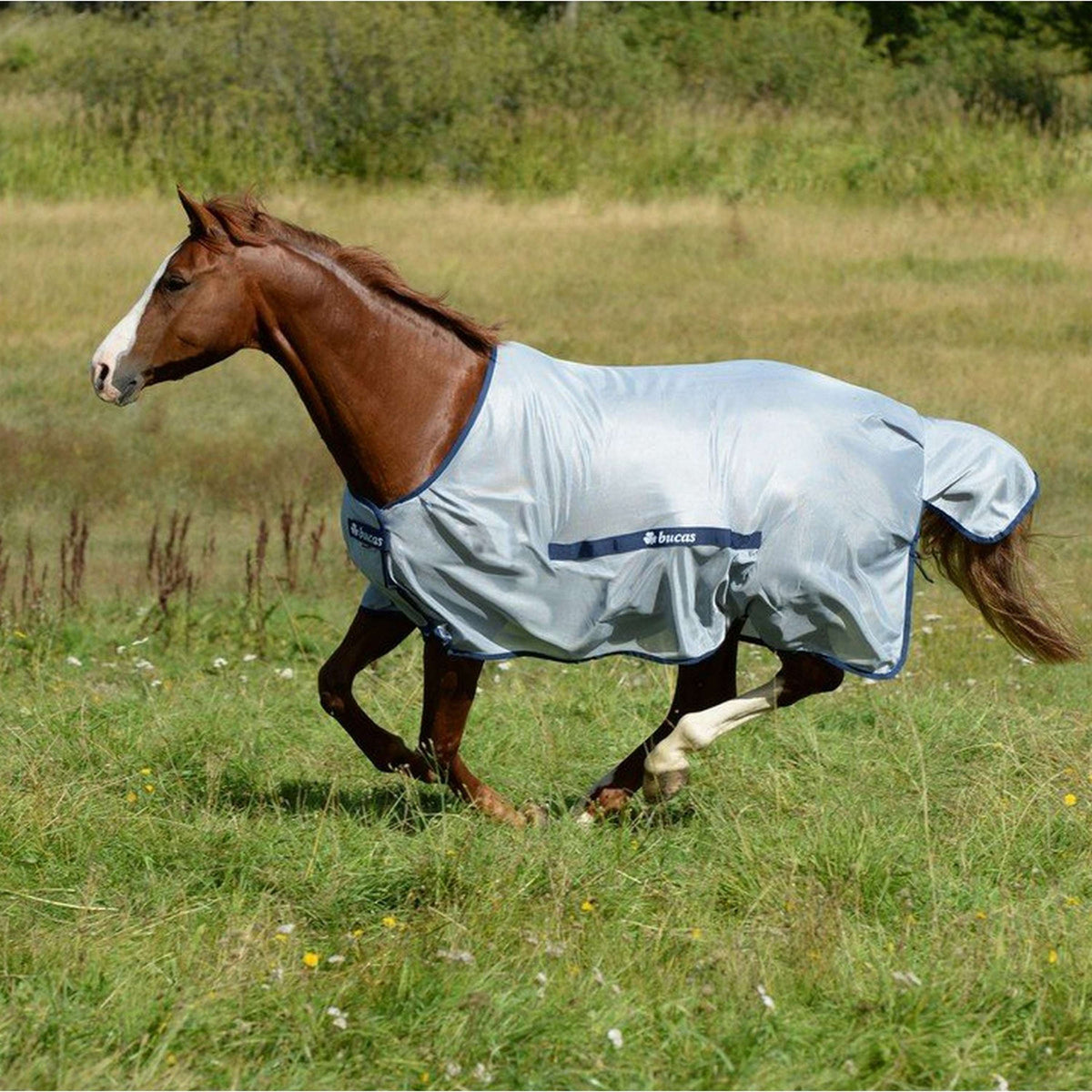 Bucas Buzz-Off Classic Azul