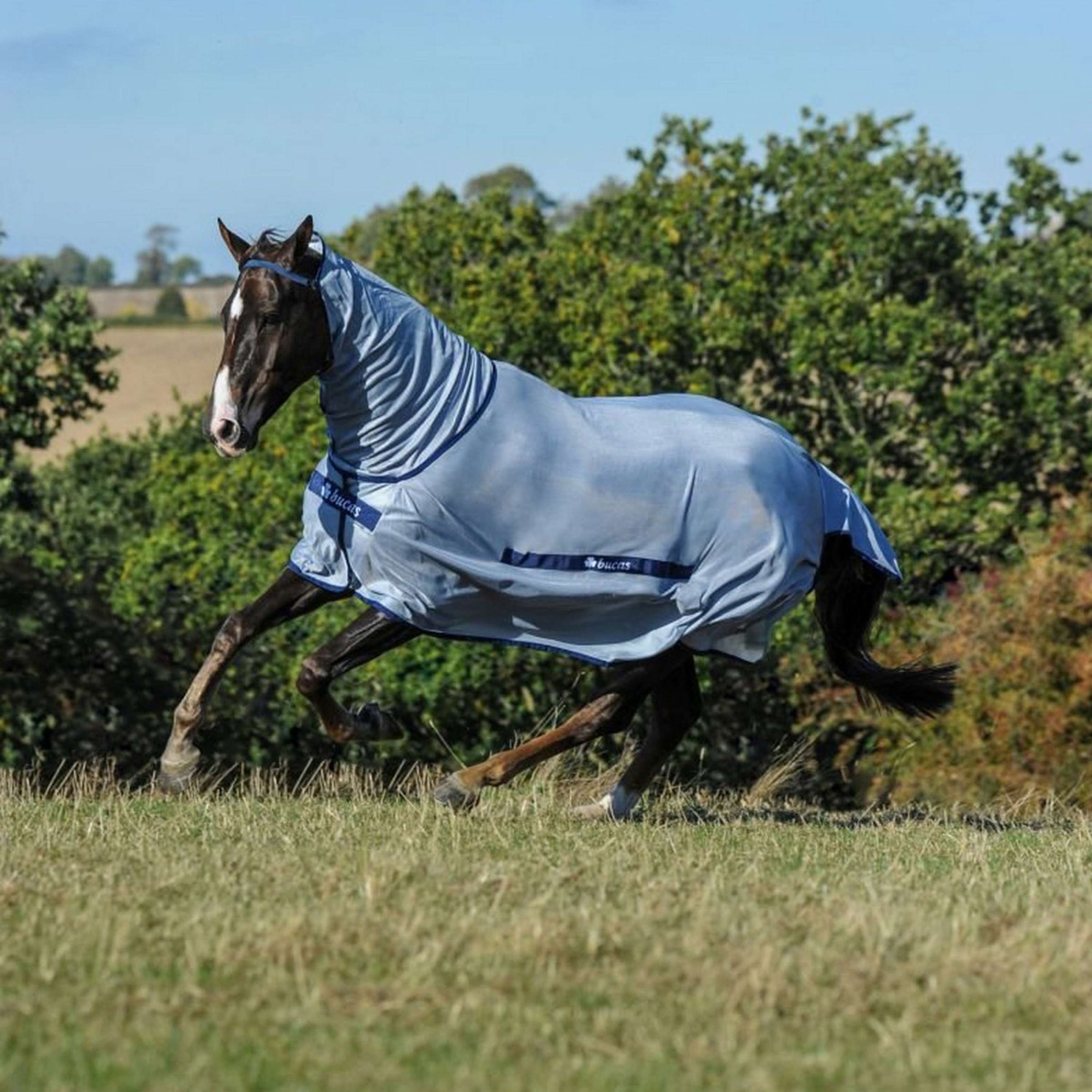 Bucas Buzz-Off Full Neck Azul Bucas Buzz-Off Full Neck Azul