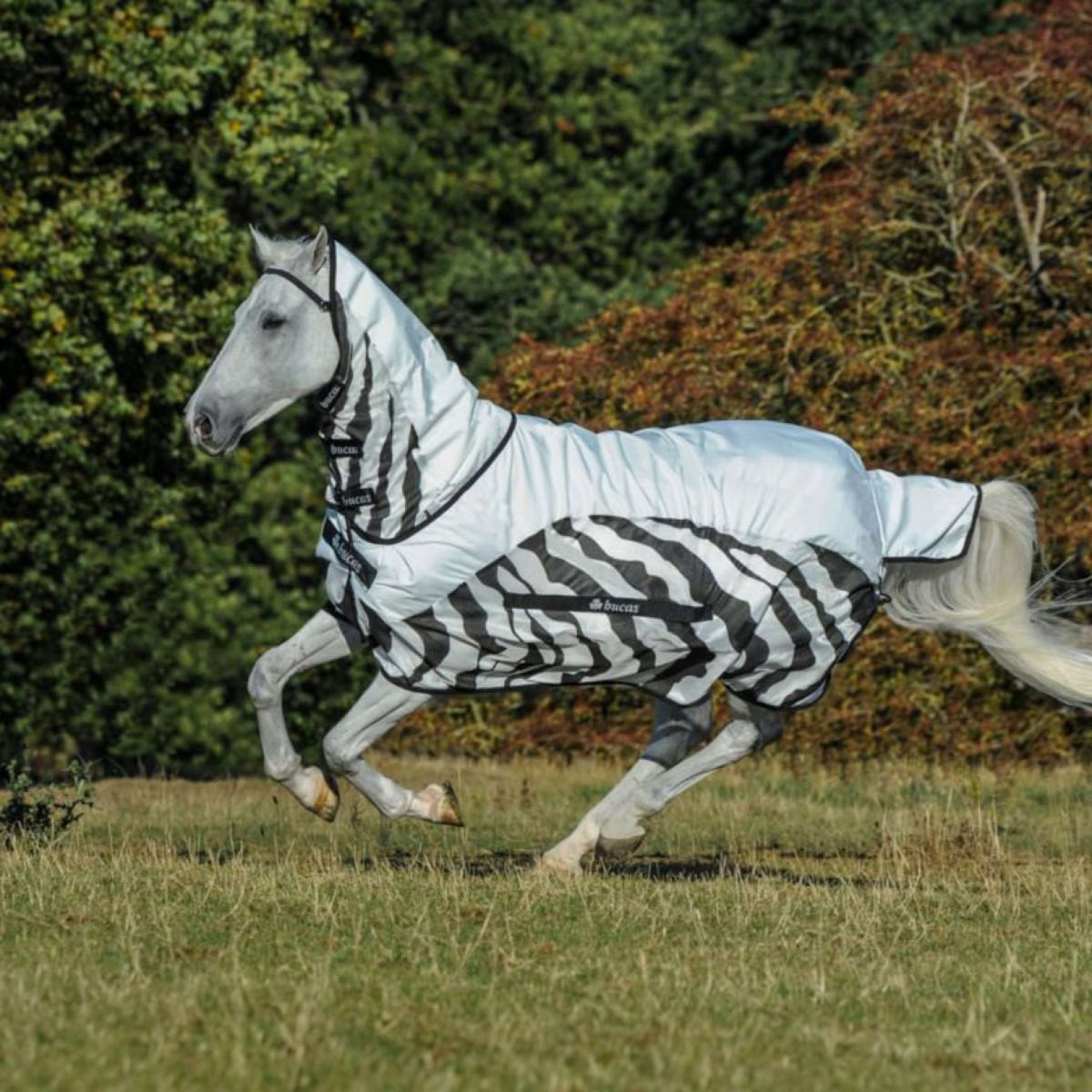 Bucas Manta Antimoscas Buzz-Off Rain & Neck Zebra