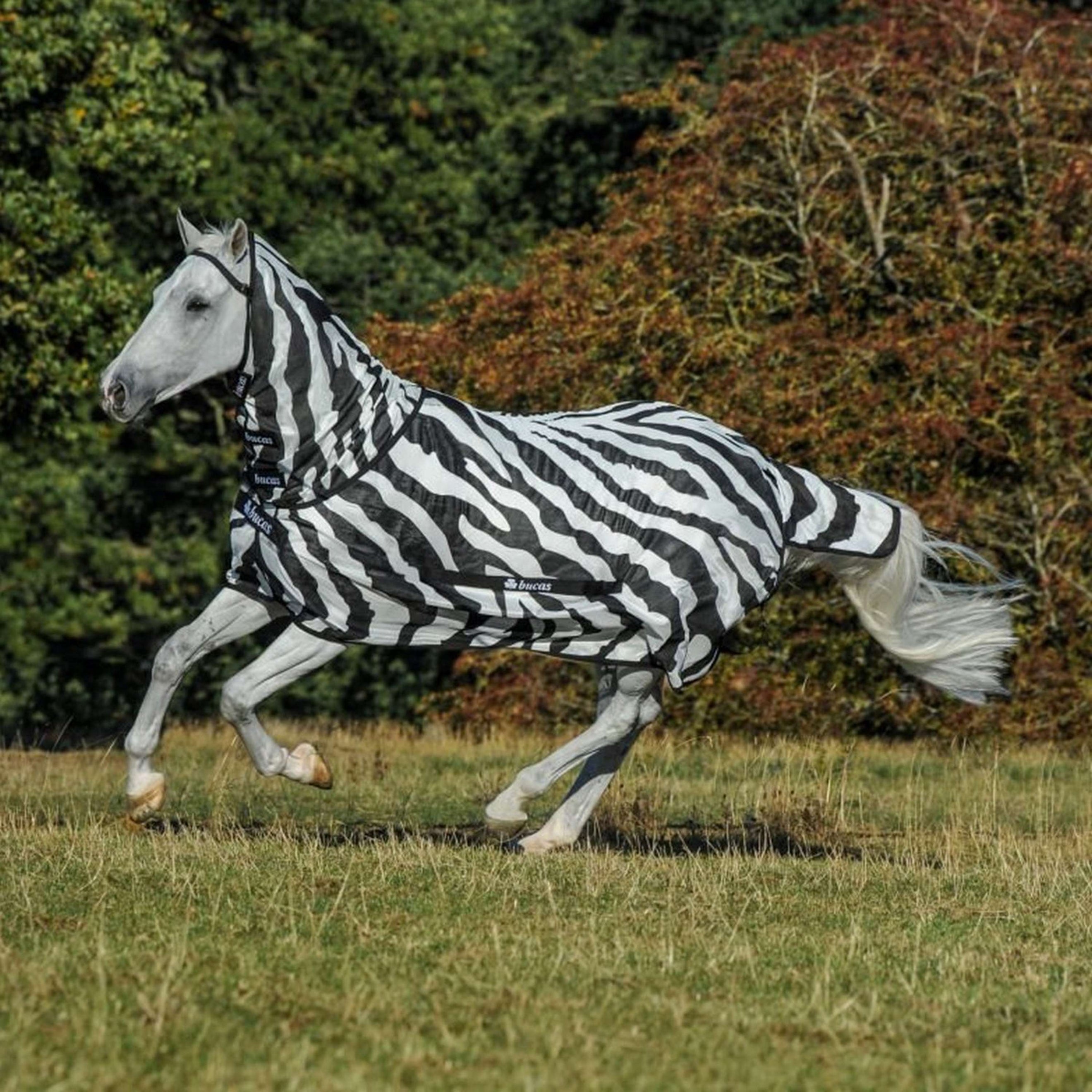 Bucas Buzz-Off Full Neck Zebra Bucas Buzz-Off Full Neck Zebra