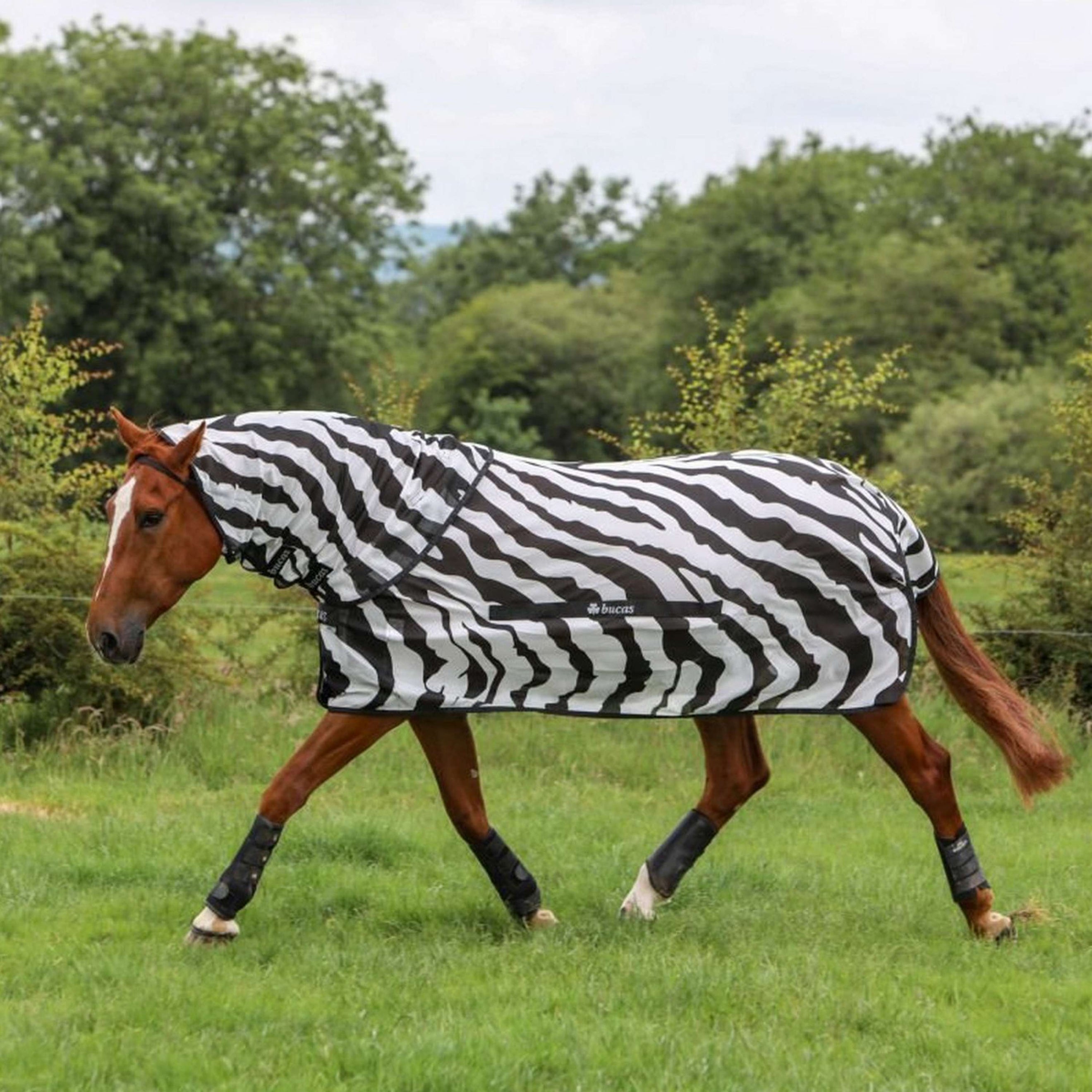 Bucas Buzz-Off Zebra Neck Zebra Bucas Buzz-Off Zebra Neck Zebra