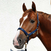 Bucas Cabestro Dublin Foal Navy