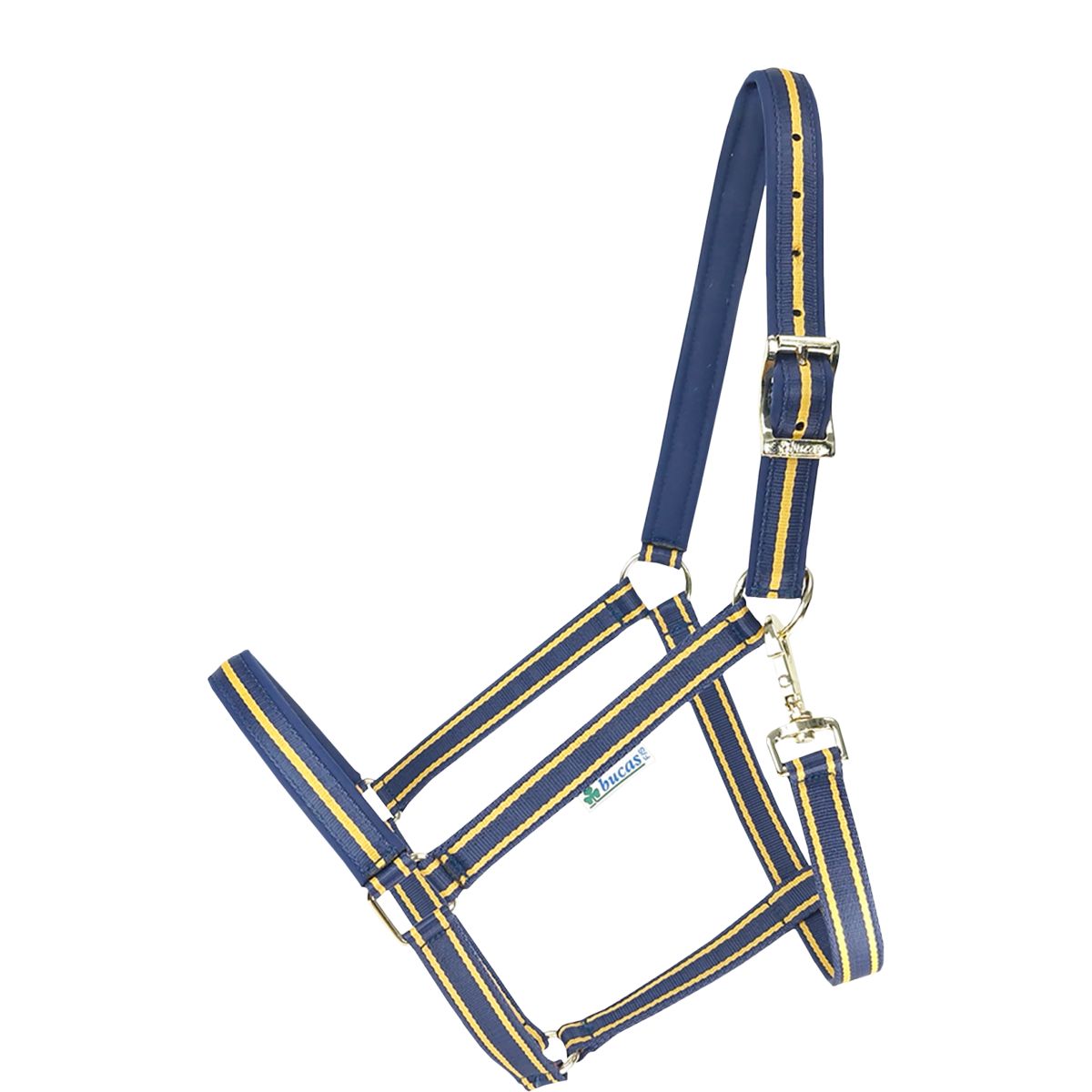Bucas Cabezada Dublin Navy/Gold