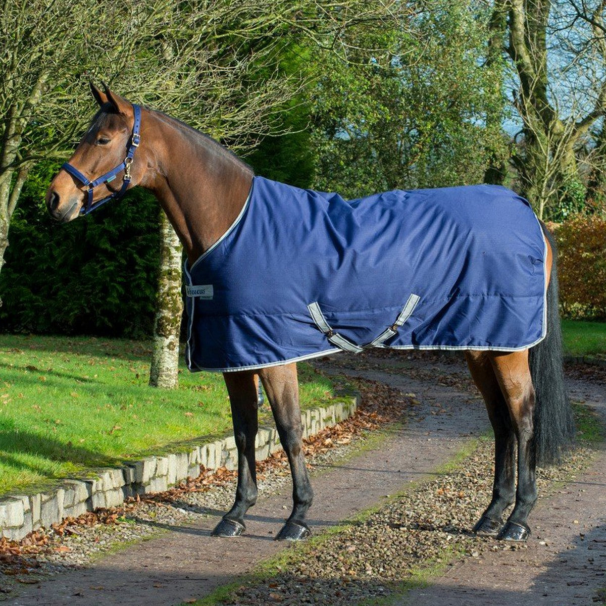 Bucas Freedom Manta de Cuadra 300g Navy