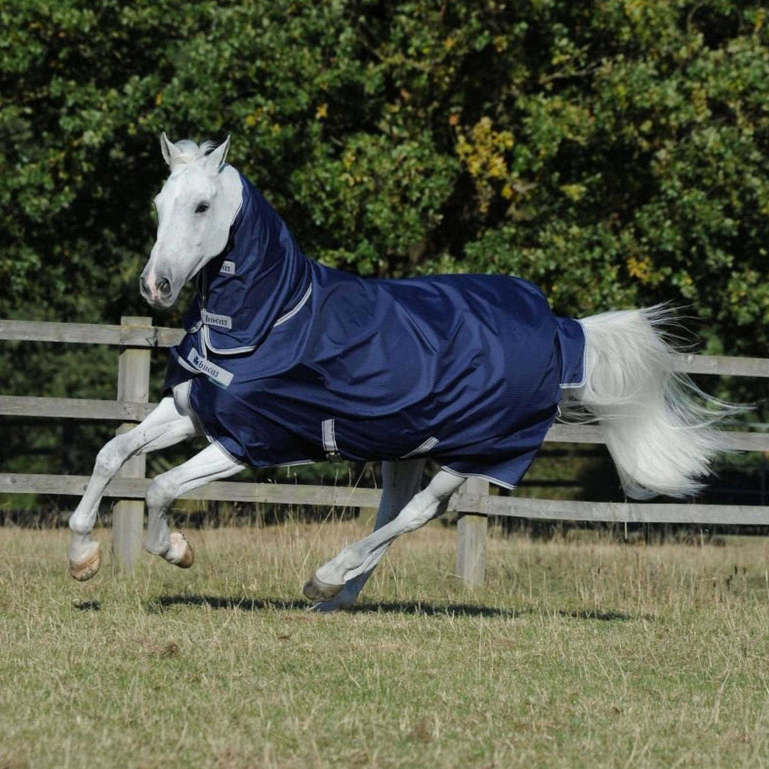 Bucas Freedom Turnout Full Neck 0g Navy Bucas Freedom Turnout Full Neck 0g Navy