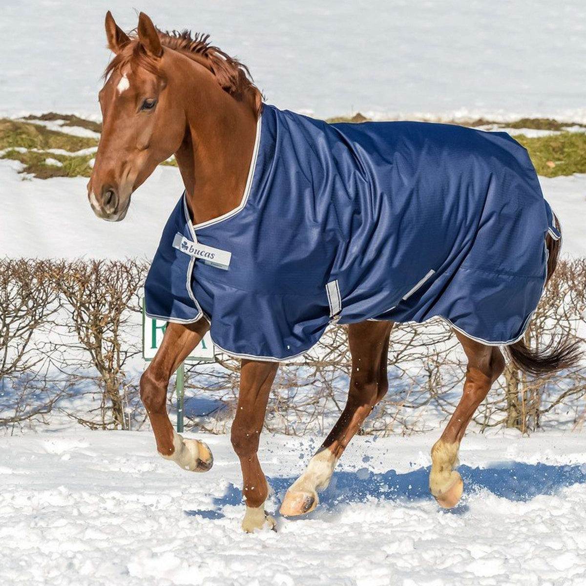 Bucas Turnout Freedom High Neck 150g Navy/Plata