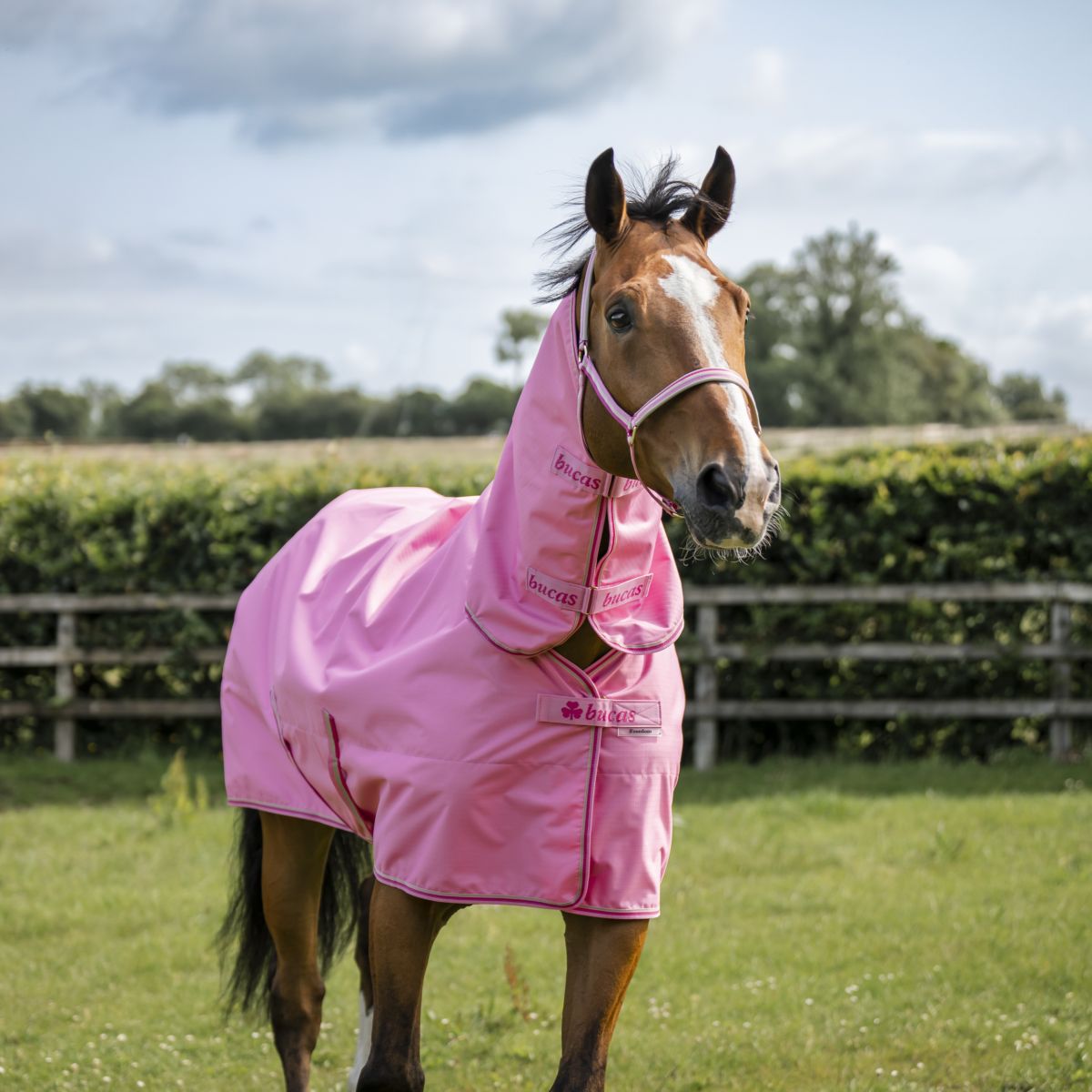 Bucas Freedom Turnout Full Neck 0g Aurora Pink