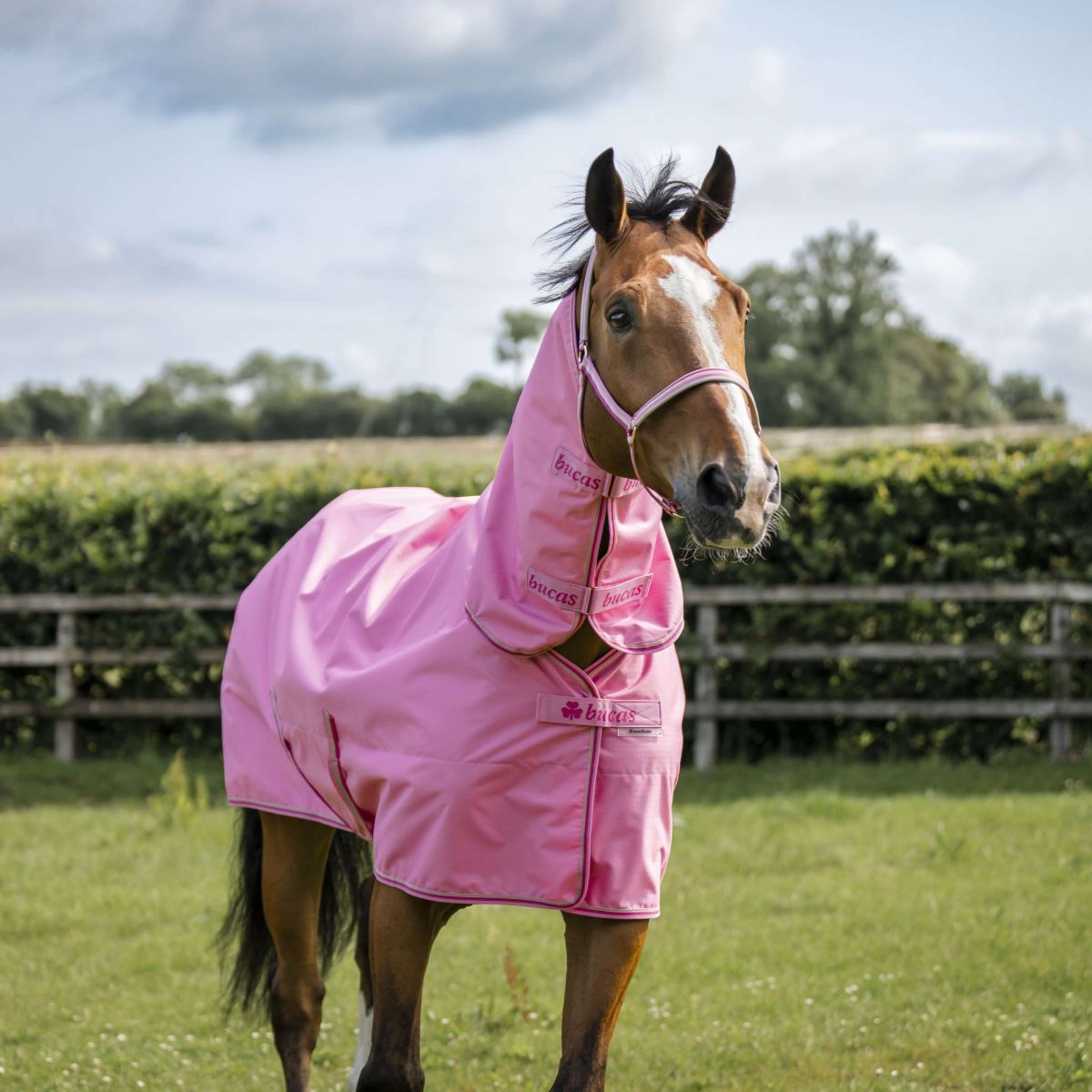 Bucas Freedom Turnout Full Neck 0g Aurora Pink