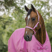 Bucas Cabezada Dublin Aurora Pink