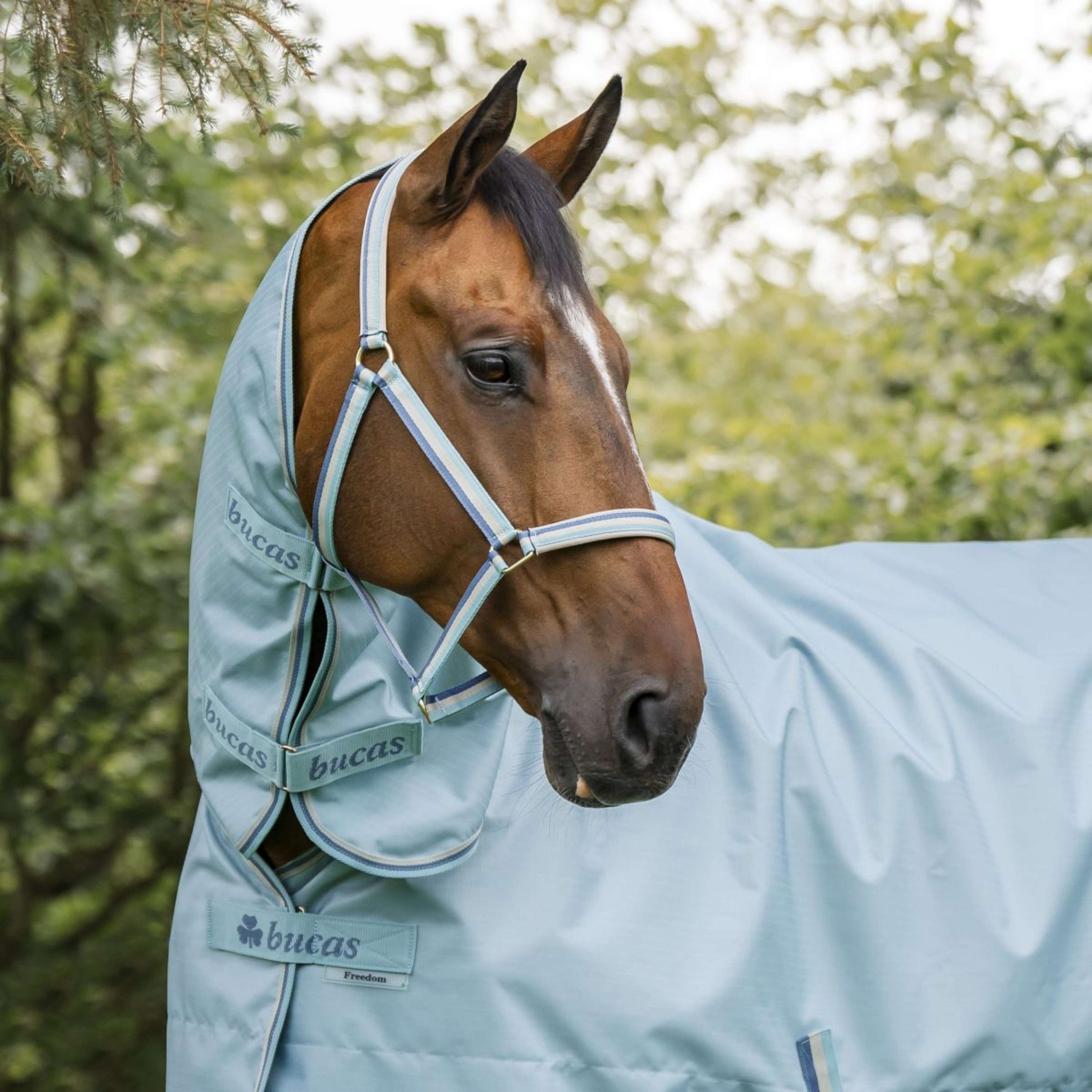 Bucas Cabezada Dublin Turquoise