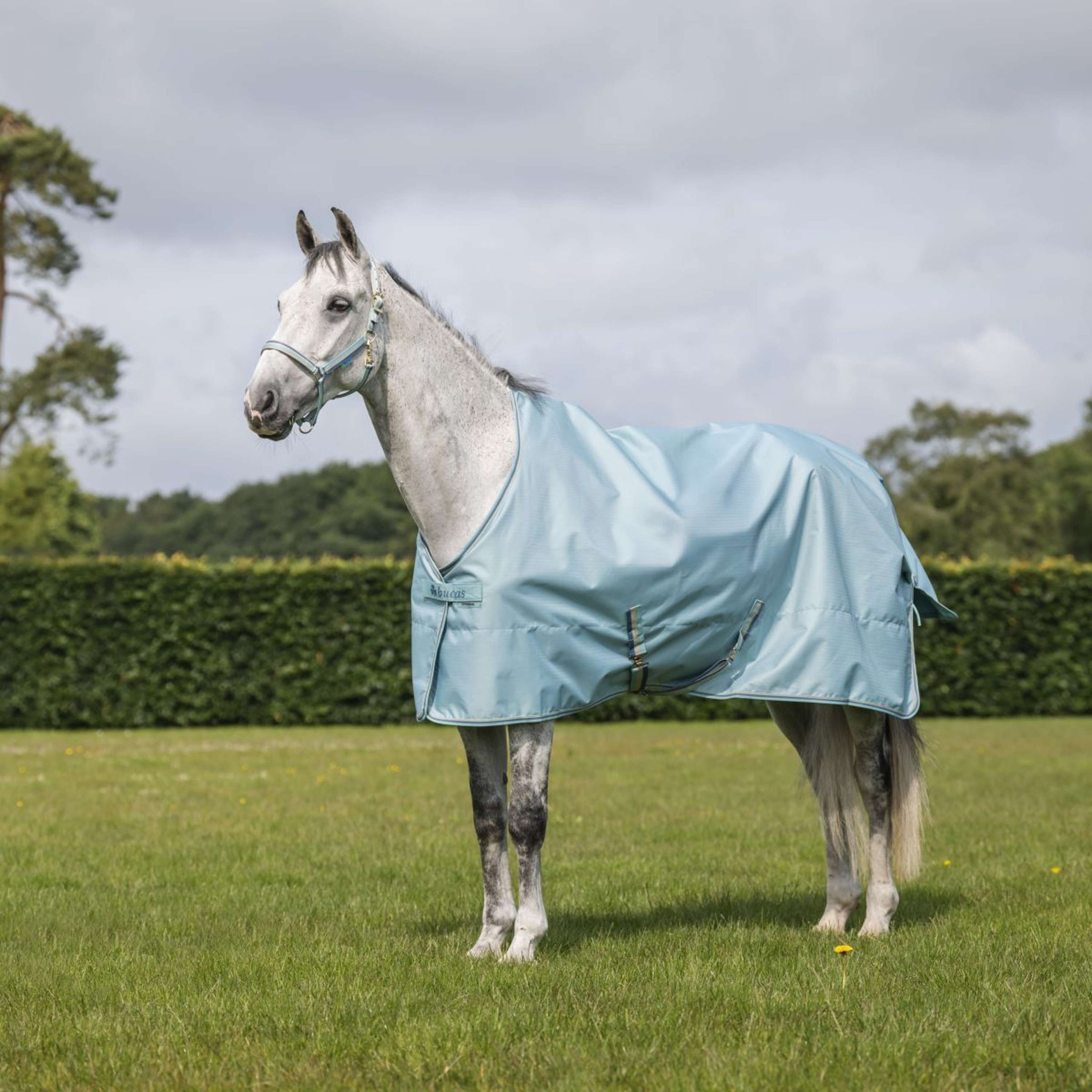 Bucas Freedom Turnout Light 0g Turquoise Bucas Freedom Turnout Light 0g Turquoise