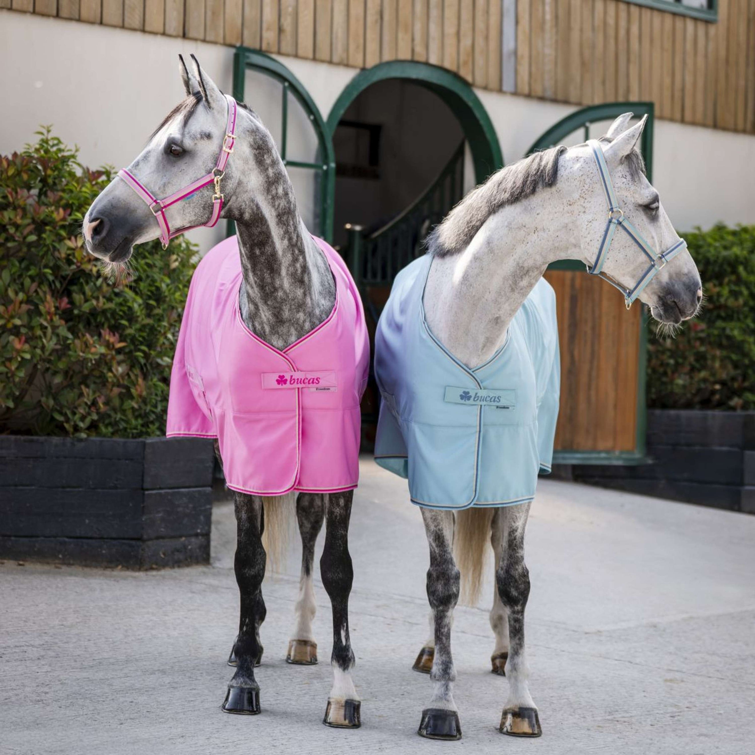 Bucas Freedom Twill Sheet 0g Turquoise