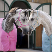 Bucas Cabezada Dublin Aurora Pink