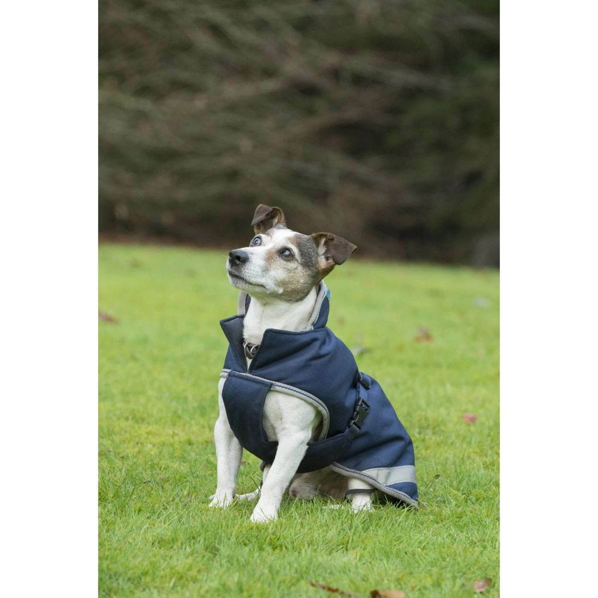 Bucas Freedom Dog Rug 150g Navy