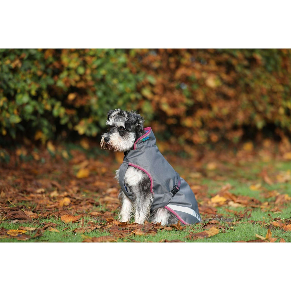 Bucas Freedom Dog Rug 300gr Smoke Grey